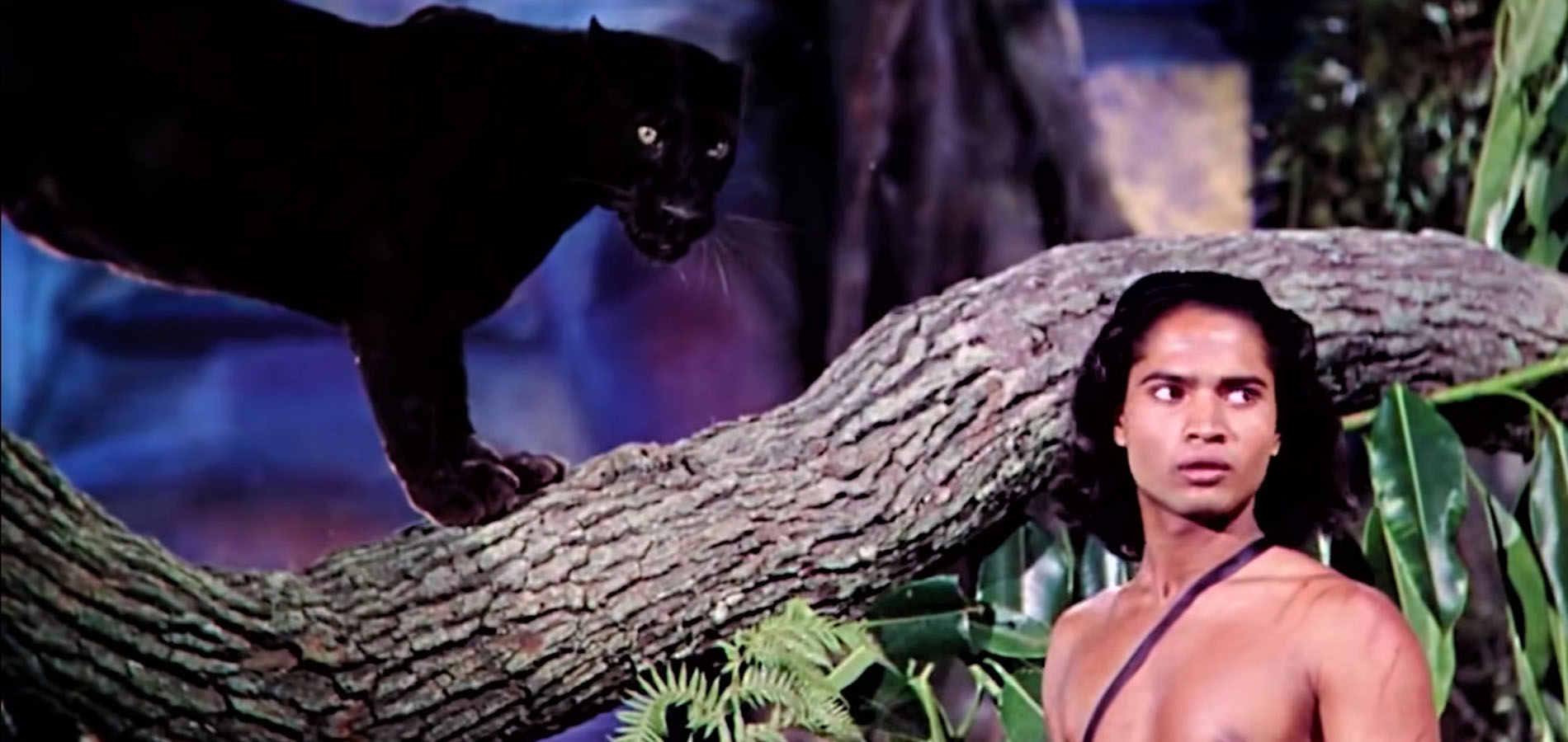 a black panther stands on a large horizontal tree branch. Mowgli, a boy with long dark hair, stands near the black panther.