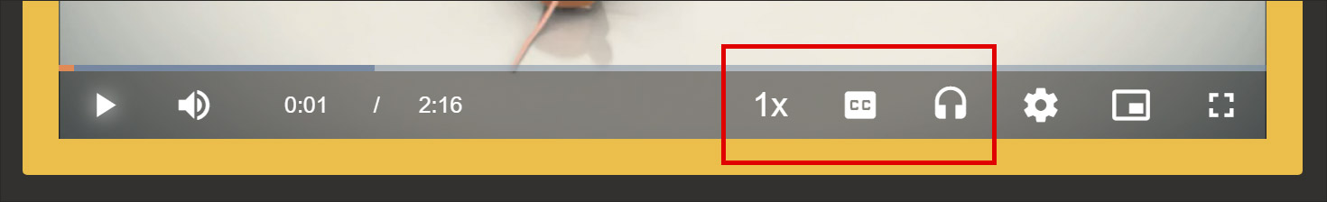 Close up of player controls. Icons are: 1X for playback rate; CC for captions; headphones for Audio Track; gear for Settings; rectangle within a rectangle for Picture in Picture; sqaure with broken line for Full Screen.